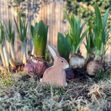 Die Ostheimer Spielfigur "Hase sitzend" sitzt im Moos vor noch nicht aufgeblühten Frühlingsblumen und schaut nach rechts.