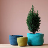 Respiin Jutekörbe Set mit drei Körben aus Jute in 3 Größen, der gelbe-grünehat einen Durchmesser von 11cm, der blaue 14cm und der große türkise Korb hat 18cm Durchmesser. In diesem steht ein kleiner Zimmernadelbaum.
